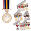  National Police Service Medal (NPSM)