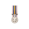  National Police Service Medal (NPSM)