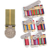 HOSM Humanitarian Overseas Service Medal (HOSM)