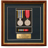  DLSM + ADM Replica Medal Group