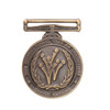  2001 International Year of the Volunteer Medal