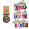  2001 International Year of the Volunteer Medal