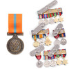  2001 International Year of the Volunteer Medal