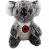 20cm Poppy the Koala