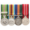  Afghanistan Active Service + Border Protection Replica Medal Group