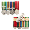 Afghanistan Active Service + Border Protection Replica Medal Group