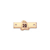 Western Australia Volunteer Fire Service 20 Year Medal Clasp