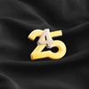  25 4  Limited Edition Lapel Pin