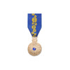  Member of the Order of Australia Medal (AM) - General
