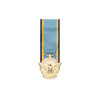  US Aerial Achievement Medal