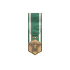  US Navy and Marine Corp Commendation Medal