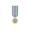  US Joint Service Achievement Medal