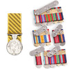  Conspicuous Service Medal