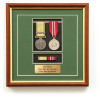  National Emergency Medal (TC Debbie) + ADM Replica Set