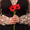 Set of Three Red Long Stem Poppies