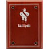  Gallipoli Company Delta Floating Glass Award
