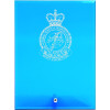  Combat Survival Training School (CSTS) Nebula Blue Glass Award in Gift Box