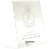  No 81 Wing (81WG) Essence Glass Award