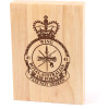  No 41 Wing (41WG) Heritage Wooden Award
