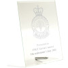  No 396 Combat Support Wing (396CSW) Essence Glass Award