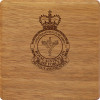  No 1 Expeditionary Health Squadron (1EHS) Tasmanian Blackwood Heritage Box
