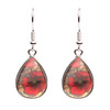  Poppies of Remembrance Earrings