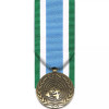  ONUMOZ - United Nations Mozambique Medal