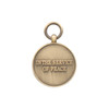 UNSSM - United Nations Special Service Medal