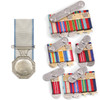  Antartic Medal