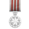  Distinguished Service Medal 1991 (DSM)