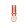  Distinguished Service Medal 1991 (DSM)