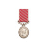  Air Force Medal (AFM)