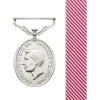  Air Force Medal (AFM)