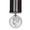 Distinguished Service Medal 1914 (DSM)