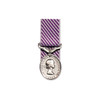 Distinguished Flying Medal (DFM)