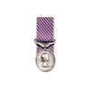  Distinguished Flying Medal (DFM)