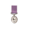 Distinguished Flying Medal (DFM)