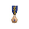  Officer of The Order of Australia (AO) - Civil