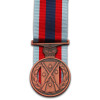 Champion Shot Medal
