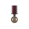 Champion Shot Medal