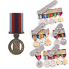 Champion Shot Medal