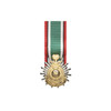  Saudi Liberation Medal for Kuwait