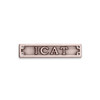 ICAT - AOSM Civillian Clasp