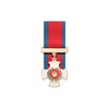  Distinguished Service Order (DSO)