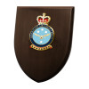  AAFC Plaque An Exceptional Australian Air Force Cadet (AAFC) Plaque order now. This beautiful plaque features a 100mm full colour enamel crest set on a 200x160mm timber finish shield. Presented in a stylish silve