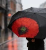  I Remember - Red Poppy Compact Umbrella