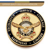 Air Force Medallion In Stand CIIIR