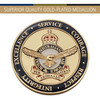 Air Force Medallion In Case CIIIR