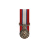 QLD Fire & Rescue Medal