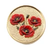Forever Collection Remembrance Coin Locket Brooch